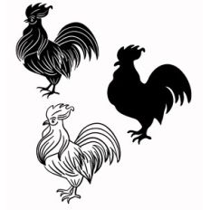 Rooster Designs