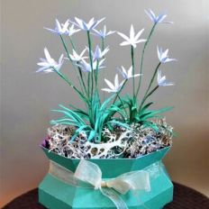Star of Bethlehem Flower + Planter