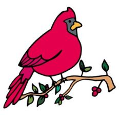 Cardinal