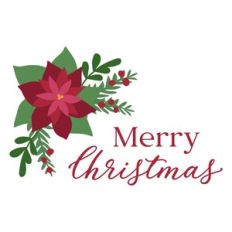 Merry Christmas Poinsettia