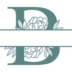 B split monogram frame