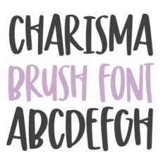 BFC Charisma Brush Font