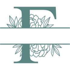 F split frame
