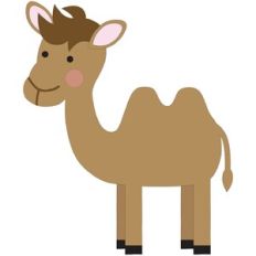 Camel