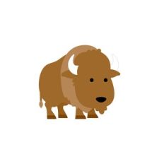 Buffalo - Great Outdoors