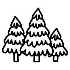 forest trees