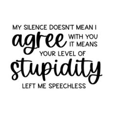 My Silence Doesn't Mean I Agree With You It Means Your Level Of Stupid