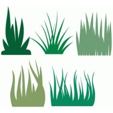 grass collection