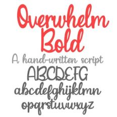 ZP Overwhelm Bold