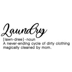 Laundry Funny Definition