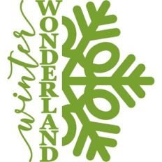 winter wonderland