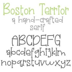 PN Boston Terrior