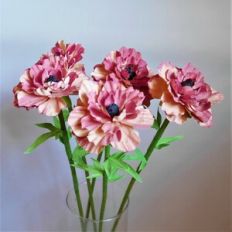 Japanese Ranunculus (Peach)