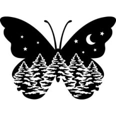 butterfly scenery