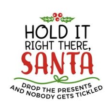 Hold It Right There Santa