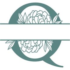 q split monogram frame