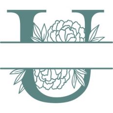 u split monogram frame