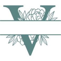 v split monogram frame