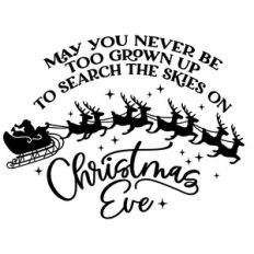 May you never be too grown up to search the Skies on Christmas Eve