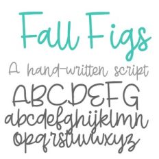 ZP Fall Figs
