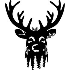 Winter Deer Antlers