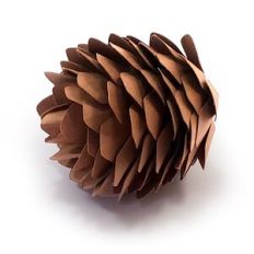 Pinecone
