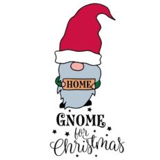 Gnome for Christmas