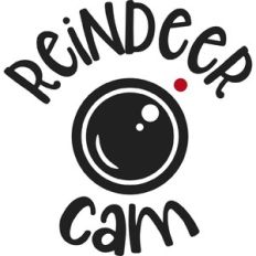 Reindeer Cam