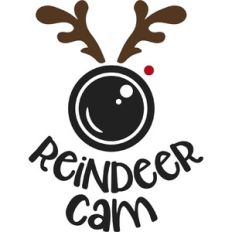 Reindeer Cam with Antlers