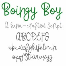 PN Boingy Boy