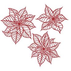 Poinsettia
