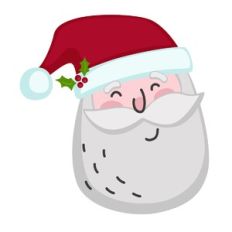 Santa Face