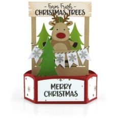 Hexagon Pop Up Card Booth Reindeer