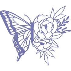 butterfly flowers