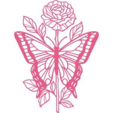 butterfly rose