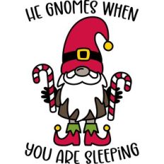 he gnomes when you are sleeping