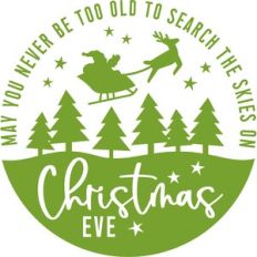 may you never be too old to seach the skies on christmas eve