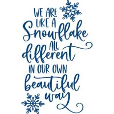 we are like a snowflake