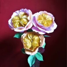 David Austin Rose