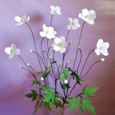 Japanese Anemones