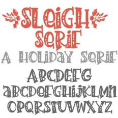 PN Sleigh Serif Too