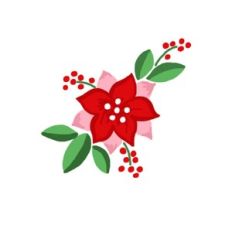 Poinsettia Christmas Flower