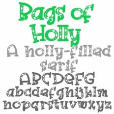 PN Bags of Holly