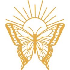 butterfly sun