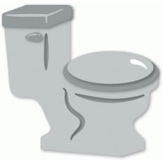 chores - toilet