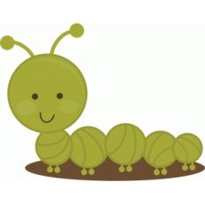 cute caterpillar