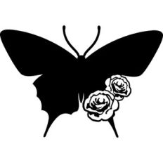 butterfly and flowers