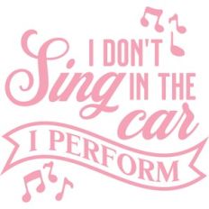 i don't sign in the car i perform