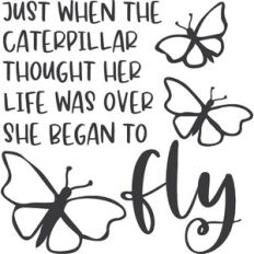 Just When The Caterpillar