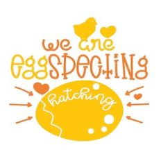 We are eggspecting - baby birth announcement